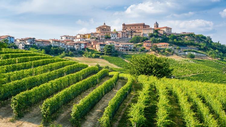 Why Piedmont is the Perfect Summer Destination for Food, Wine, and Scenic Views